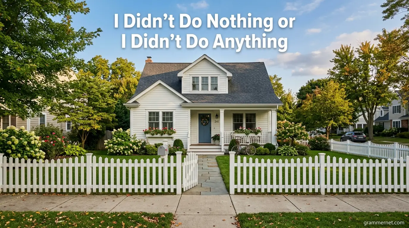 I Didn’t Do Nothing or I Didn’t Do Anything