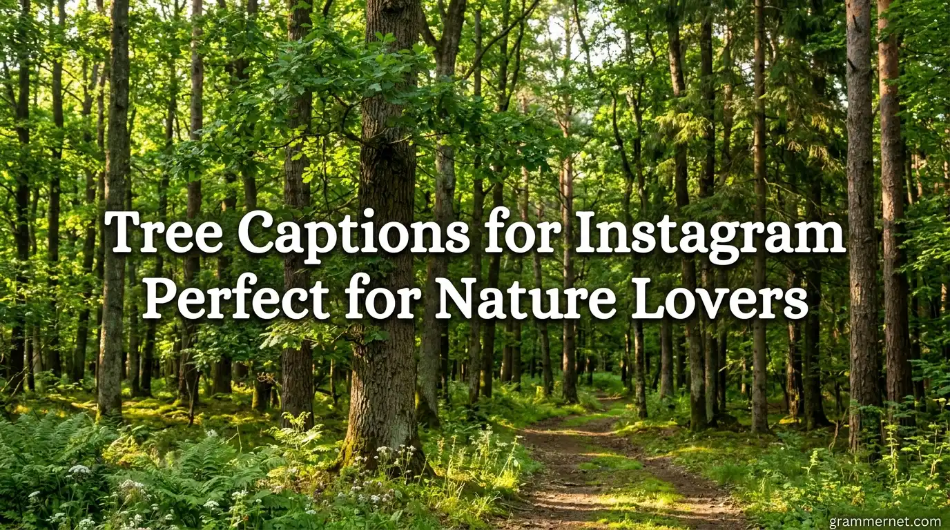 Tree Captions for Instagram Perfect for Nature Lovers